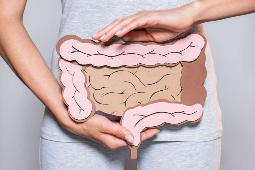 partial view of woman holding paper made large intestine on grey background