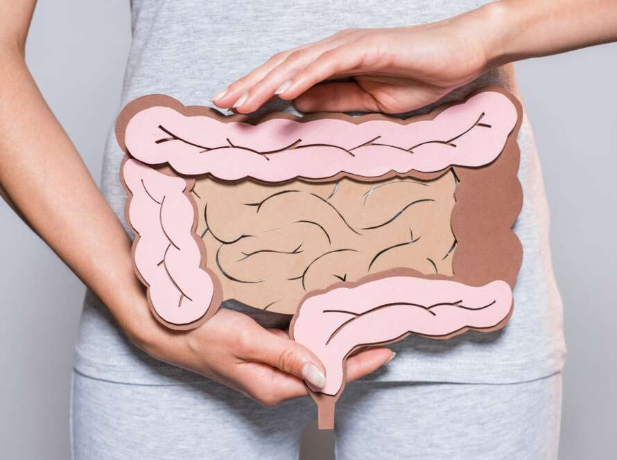 partial view of woman holding paper made large intestine on grey background